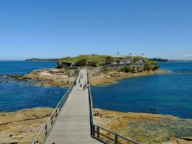 The footbridge to Bare Island Fort from the mainland in Kamay Botany Bay National Park. Photo: