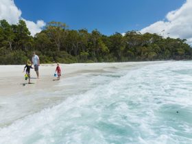 A father and two children play by the waves at Chinamans Beach, Jervis Bay National Park. Photo: