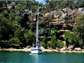 Hawkesbury Expeditions and Charters