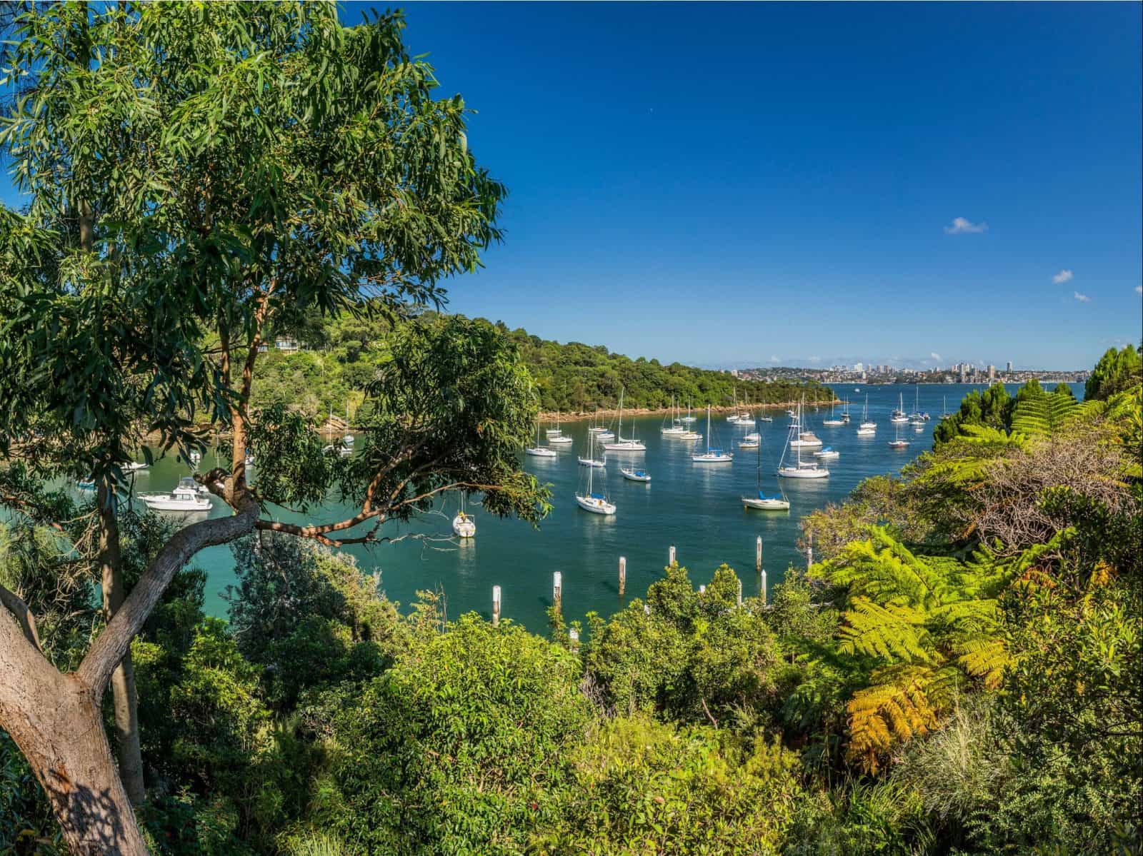 Boats docked in Little Sirius Cove, Mosman