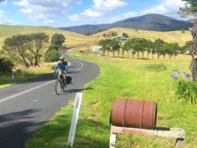 Cycling Myrtle Mountain to Candelo in Bega Shire.