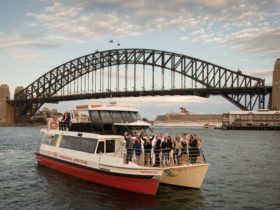 Fantasea Joy on Sydney Harbour