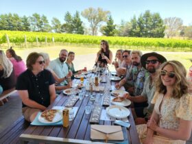 A group of persons having lunch at a winery