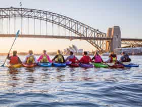 Sunrise-kayak-Sydney