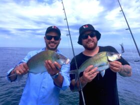 fishing charters central coast