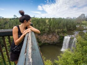 East Coast Australia Tour - Dorrigo National Park - Dangar Falls