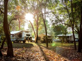 Camping beside the billabong under the trees