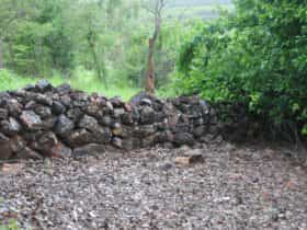 Dry stone wall remnants at Beatrice Hill Well.