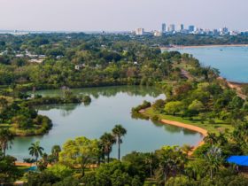 Aerial view of Lake Alexander at East Point Reserve in Darwin