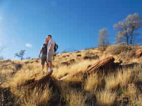 Larapinta Trail, Alice Springs Area, Northern Territory, Australia