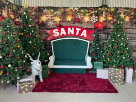 Green Santa chair with Christmas tree background & reindeer