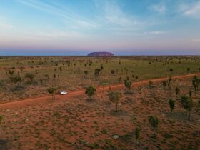 Toyota Hilux 4WD Camper at Uluru-Kata Tjuta NP