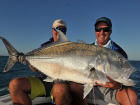 A trophy sized Giant Trevally from the Kimberley coast