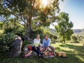 Picnic at Fordsdale Farmstay