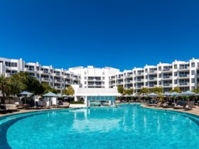 Resort style swimming pool with tropical swim up bar. Sofitel Noosa accommodation overlooks pool.