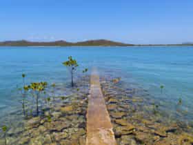 The old jetty on Roko Island pearl farm in the Torres Strait