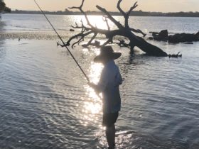 Young boy fishing at sundown