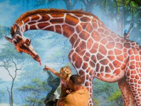 ArtVo Robina Town Centre Ground Floor 3D Gallery Giraffe