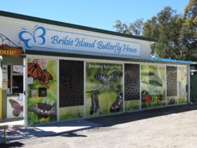 Main entrance to the Bribie Butterfly House - you can't miss it!