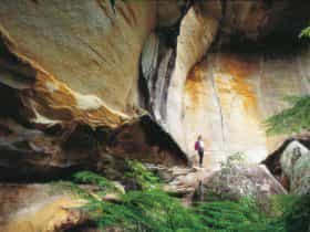 Person standing near sandstone cliff face in Cania Gorge National Park