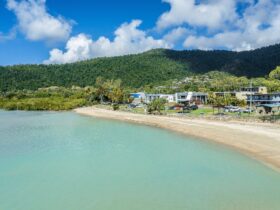 Aerial view of Cannonvale Beach with accessible outdoor gym, playground and picnic areas