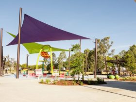 Chinchilla Botanic Parkland – Queensland’s 2020 Park of the Year