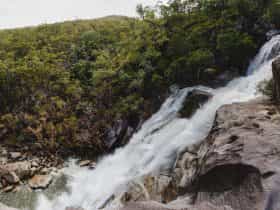 Water cascades down a smooth rocky slope surrounded by open forest.
