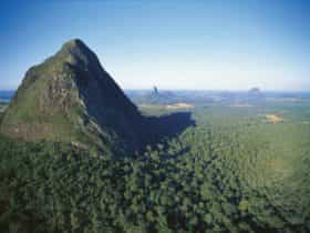 Mount Beerwah rising above surrounding forest.
