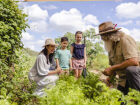 Things to do in Yeppoon, Farm Tour, Permaculture