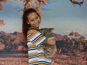 Cuddle and Koala (optional extra cost) at Kuranda Koala Gardens