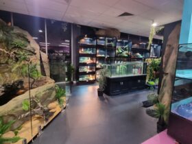 Petacular reptile room