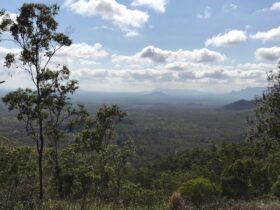 Pipers Lookout