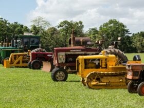 Display of old tractors