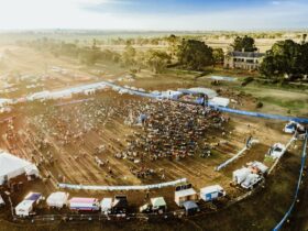 Enjoy Aussie legends on the Jimbour Plain at Big Skies Festival.