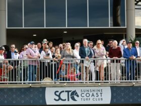 Crowd looking out onto the track from the outdoor members terrace