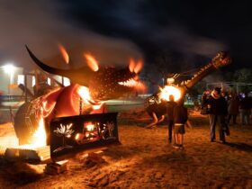 Killarney Bonfire Night fire Bulldozer and dragon