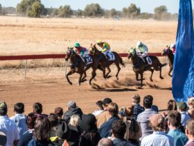 horses racing at St George