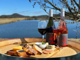 Cheese board and wine, Queensland wine on barrel, glass of red granite belt, scenery granite belt