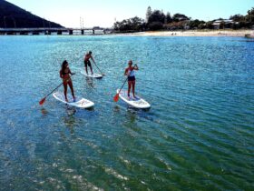Stand up Paddle Boarding with All Coast PAddle Board Hire at Tallebudgera Creek. High Quality Paddle