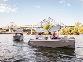 Explore beautiful Brisbane board GoBoat!