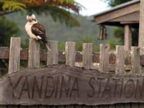 Yandina in the Sunshine Coast Hinterland