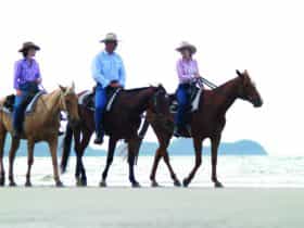Horse Riding Wonga Beach