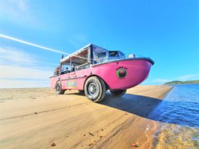 Pink amphibious vessel getting ready to drive into the water from a sandbank