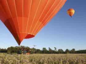 Hot Air Ballooning from Brisbane