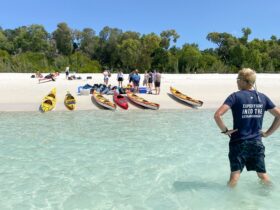 kayaks and paddlers on the white sandy beaches of the Whitsundays