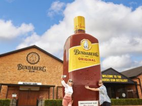 Bundaberg Rum Experience Tour