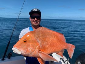 PB Red Emperor caught out of Yeppoon, Southern Barrier Reef