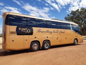 Fun Over Fifty signature `Gold Class' coach