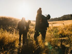 3 woman walk through a field of golden grass with backpacks on.