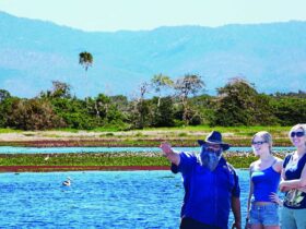 AIUP Group visiting the Mungalla Wetlands